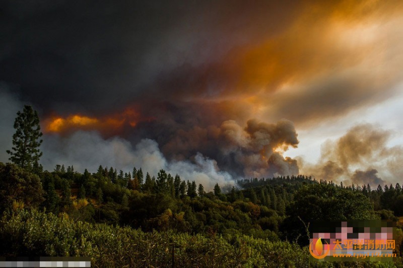 美国加州森林大火 4000亩森林受灾